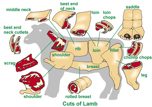 lp food lamb cuts.gif